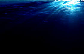 Dark Underwater Wallpapers Top Free Dark Underwater Backgrounds Wallpaperaccess ❤ get the best underwater wallpapers on wallpaperset. dark underwater wallpapers top free