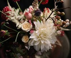 From lh6.googleusercontent.com 18651868 d1936 is best known and referred to as the grey lady and is the former owner of grey house. 15 Foxglove Ideas Foxglove Flower Art Vintage Flowers