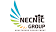Necnic Group logo