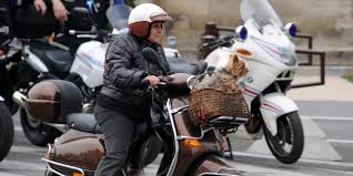 De plus en plus pesant en france car exigé par la réglementation européenne depuis plusieurs années, le contrôle technique pour les motos et scooters sera obligatoire en 2023. Controle Technique Des Deux Roues Pour Les Motards C Est Completement Inadapte