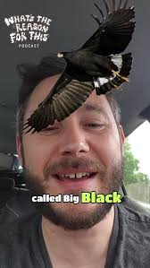 What's The Reason For This Podcast