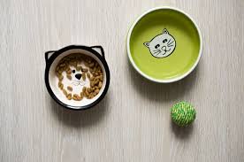 For her 2020 squarespace spot, she returns to winona to get to know it better. The 25 Best Cat Bowls Of 2020 Cat Life Today