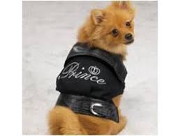 Designer Dog Clothes 7 Outfits Male Large Online Fundraising Auction Biddingforgood Boy Dog Clothes Dog Clothes Puppy Clothes