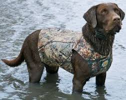 For Dogs Cabela S 5mm Neoprene Flotation Vest With Armor Flex Chest Protector This Product Can Take A Beating And Is Made For Th Hunting Dogs Dogs Bird Dogs