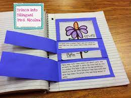 Pin On Tpt Free Lessons