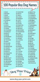 8 Names Ideas Names Puppy Names Dog Names