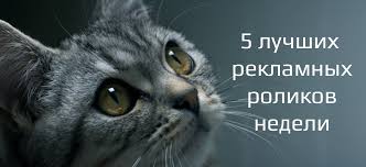 Это не реклама на сайтах и не вирусы в вашем пк, это вирус в голове у того, кто это одобрил! Luchshaya Reklama Nedeli Kievstar Whiskas I Besprovodnye Naushniki