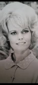 Three Coins In The Fountain 1965 TV Pilot Discussion