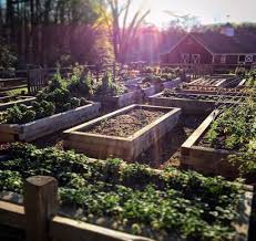 36 Comfy Raised Bed Vegetable Garden Design Ideas Garden Layout Vegetable Building A Raised Garden Home Vegetable Garden