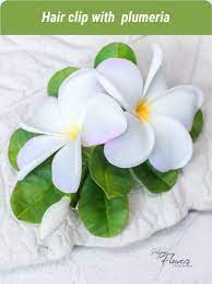 Hair Clip Plumeria Realistic Hawaiian Flower Bridal Hair Etsy In 2021 Floral Accessories Hair Bridal Hair Flowers Flower Hair Clips