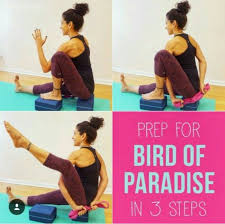 Bird Of Paradise Yoga Pose Modifications Image Result For Bird Of Paradise With Strap Backpain In 2020 Namaste Yoga Bikram Yoga Ashtanga Yoga