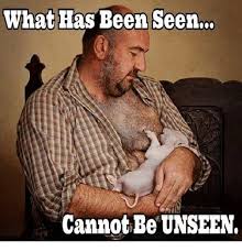 What Has Been Seen Cannot Be Unseen Meme On Esmemes Com