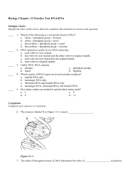 Explore the steps of transcription and translation in protein synthesis! Chapter 12 Practice Test Open To See Diagrams