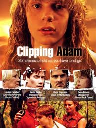 Clipping Adam