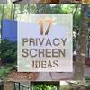 Check spelling or type a new query. Https Encrypted Tbn0 Gstatic Com Images Q Tbn And9gcqujyqbrwwyy4hirttu97wq8juszeeugq8prcz Uhziysacqrdw Usqp Cau