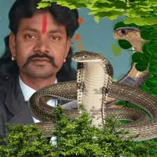 Profile for Victor Bosak