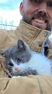 On a goat purchase we happened to run into a few kittens. Most cute! , 🐆,  #stealingthebloomfarmco #farm #farming #homestead #hobbyfarm #smallag  #regenerativeagriculture #regenerativefarming #barncat ...