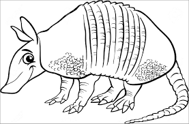 New users enjoy 60% off. Realistic Armadillo Coloring Page Coloringbay