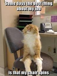 Good night meme funny goodnight memes for him and her. Lolcats Work Lol At Funny Cat Memes Funny Cat Pictures With Words On Them Lol Cat Memes Funny Cats Funny Cat Pictures With Words On