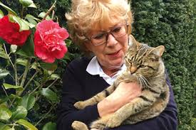 Kann man katzen in der wohnung halten? Katze Lissy Monatelang Verschwunden