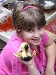 sprite with duckling