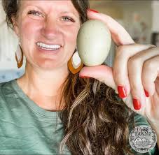 Vendors for Christmas tree farm signs