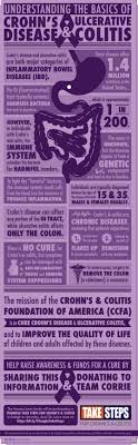 Overview Gut And Vitamin D