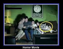 Scary movie is a 2000 american comedy horror film directed by keenen ivory wayans.the film is a parody of multiple genres including the horror, slasher, and mystery film genres. Horror Movie Really Funny Pictures Scary Movies Funny Pictures