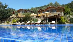 Olive Garden Kabak Faralya See 347 Unbiased Reviews Of Olive Garden Kabak Rated 5 Of 5 On Tripadvisor And Ranked 1 Trip Advisor Turkey Travel Olive Gardens