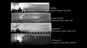 video of 50 beowulf compared to 223 6 5 grendal and 6 8