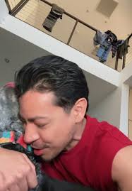 The boys are home #dog