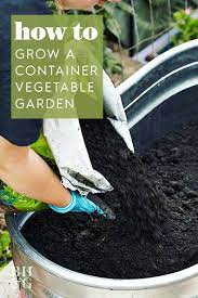 Here S How To Grow A Plentiful Vegetable Garden In A Container Growing Vegetables Gardening For Beginners Container Gardening Flowers