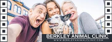 All pets veterinary clinic macomb il. Berkley Animal Clinic Linkedin