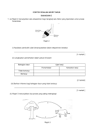 Dari kondisi dormancy membuat biji mengering karena perlakuan eksperimen pada kasus epigeal dan hypogeal ini bisa kita lakukan secara sederhana yaitu. Ulangkaji 1 Flip Ebook Pages 1 9 Anyflip Anyflip