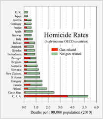 homicide wikipedia