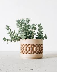 Frequent special offers and discounts up to.all products from cheap ceramic plant pots category are shipped worldwide with no additional fees. 20 Best Indoor Planters Stylish Indoor Plant Pots