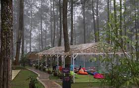 Orchid Forest Lembang Bersantai Di Taman Anggrek Terbesar Indonesia Anggrek Taman Indonesia