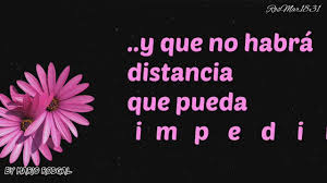 Create an account or log into facebook. Me Enamore Frases De Amor Jay Wheeler Youtube