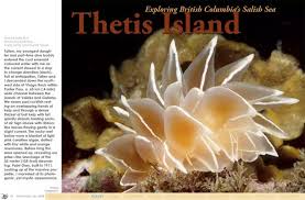 Barb Roy — an inspiration to us all