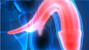 How to identify signs symptoms of. Early Signs Symptoms Of Testicular Cancer Onco Com
