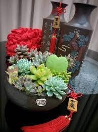 in conjunction with 2019 chinese new year succulentsfeastmalaysia has collaboration with scjp to organize a 多肉胖嘟嘟 succulents arrangement competition we was