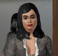 The Children of Sunset Valley