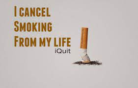 Pin On Daily Affirmations