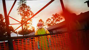 The genus marburgvirus contains only one species known as the marburg marburgvirus. Qquxgoymbx Qum