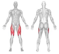 $9,599 (show low, az) pic hide this posting restore restore this posting. Quad Exercises For Women Sexy Legs Top Fitness Home