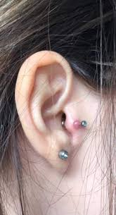 tragus wildfleisch gesundheit und medizin piercing helix