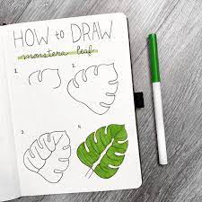 These Are The Simple Steps I Follow To Draw Monstera Leaves They Can Be A Little Tricky At Bullet Journal Art Doodle Art For Beginners Bullet Journal Doodles