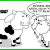 Daging hewan akikah lebih utama dimasak terlebih dahulu sebelum dibagikan. 1