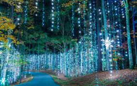 Watch Callaway Gardens Light Up With 8 Million Lights At The Winter Wonderland Festival In Georgia Holiday Lights Display Holiday Lights Callaway Gardens