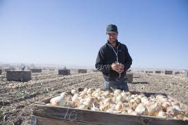 Nothing like a sweet, sweet onion from Walla Walla